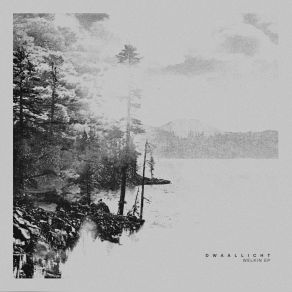 Download track Firmament Dwaallicht