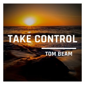 Download track What's Going On Here Tom Beam