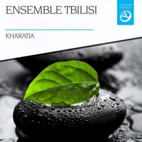 Download track Varado Ensemble Tbilisi