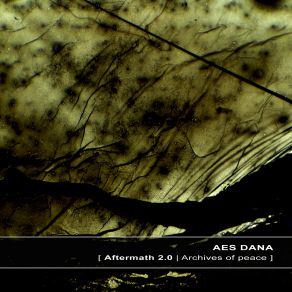 Download track Aftermath # 04 AES Dana