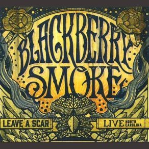 Download track Lesson In A Bottle Blackberry Smoke