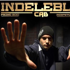 Download track Indeleble The Cab