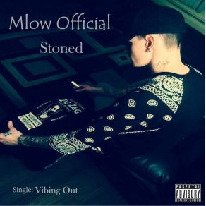 Download track Vibing Out Mlow Official