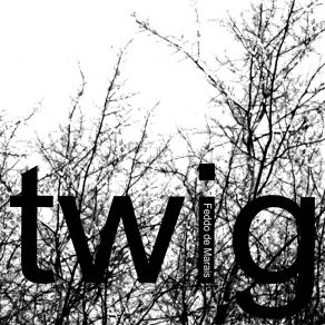 Download track Twig Five Feddo De Marais