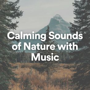 Download track Calm Nature Sounds With Music, Pt. 25 Organic Nature Sounds