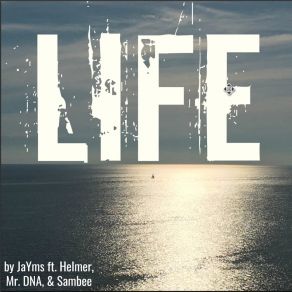 Download track Life Mr. DNAHelmer, Sambee