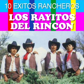 Download track El Solterito Los Rayitos Del Rincon