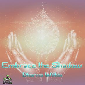 Download track Funkeln Sonata Embrace The Shadow