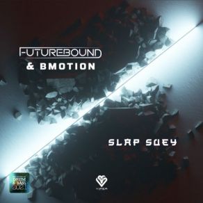 Download track Slap Suey BMotion, Futurebound