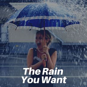 Download track Everyday Rain, Pt. 21 Night Rain
