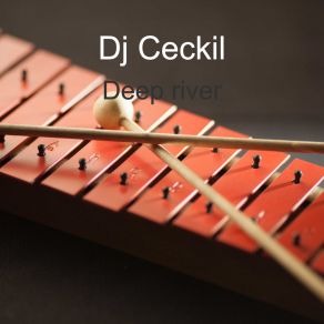 Download track Vtaciky Dj Ceckil