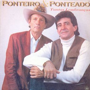 Download track Pião E Viola Ponteiro E Ponteado