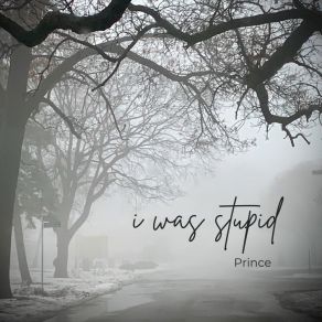 Download track The Study Prince