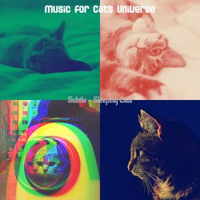 Download track Bubbly (Music) Music For Cats UniverseThe Music