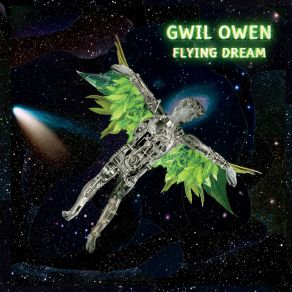 Download track I Would Lie Gwil Owen