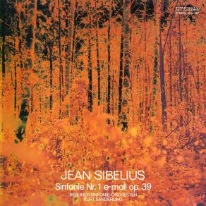 Download track Symphony No. 1 In E Minor, Op. 39- I. Andante, Ma Non Troppo - Allegro Energico (Remastered) Jean Sibelius