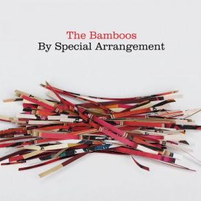 Download track Lit Up (Strings Version) The Bamboos