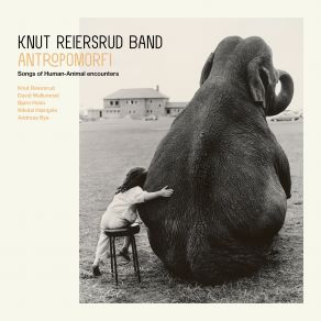 Download track Freya Knut Reiersrud Band