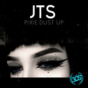 Download track Pixie Dust Up (Original Mix) Jack The Stripper