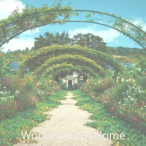 Download track Sprightly Mood For Studying Working From Home