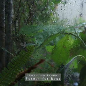 Download track Rain On A Lazy Day Forest For Rest