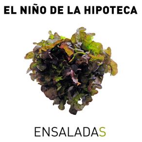 Download track Ensaladas El Niño De La Hipoteca