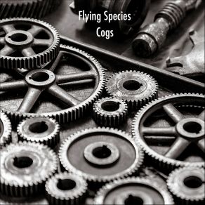 Download track Invisible Cog Flying Species