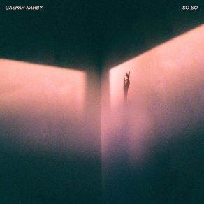 Download track So-So Gaspar Narby