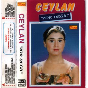 Download track Ayrılıktan Söz Etme Ceylan