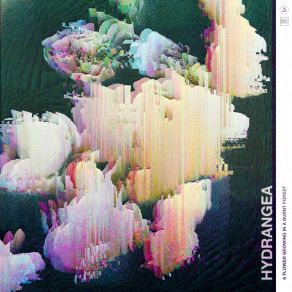 Download track Deluge Hydrangea