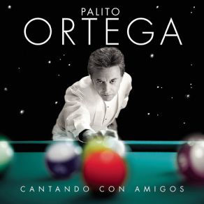 Download track A Mi Amigo Le Gusta El Rock Palito Ortega