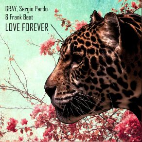 Download track Love Forever (Kevin Karlson, Vicent Ballester) Gray, Sergio Pardo, Frank Beat