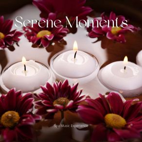 Download track Silent Waters Spa Music Experience