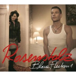 Download track Blaue Flecken (The Disco Boys Remix) Rosenstolz