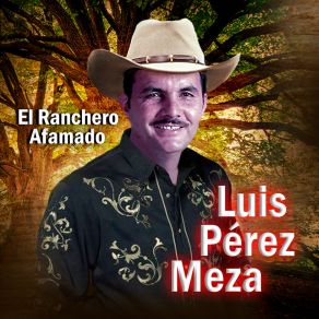 Download track Mi Chorro De Voz Luis Perez Meza