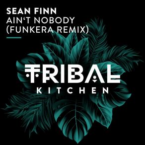 Download track Ain't Nobody (Funkera Remix) Sean FinnFunkera