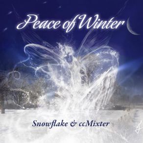 Download track Winter Sunlight Snowflake & CcMixter