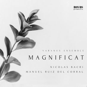 Download track Stabat Mater, Op. 45: II. Antiphona Nicolas Bacri, Manuel Ruiz Del Corral, Varanus Ensemble