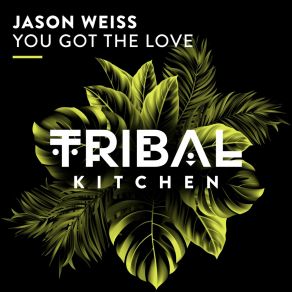 Download track You Got The Love (Extended Mix) Jason Weiss