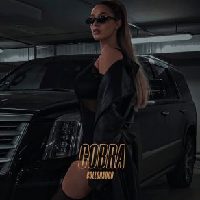 Download track Cobra (Exclusive Version) Colloradoo