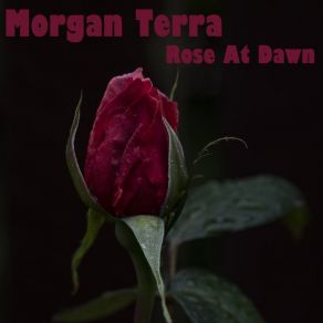 Download track Blue Brass Of The Beast Morgan Terra