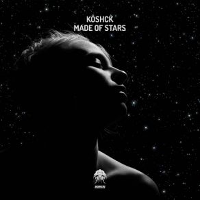 Download track Made Of Stars (Rise And Fall Remix) Rise And Fall, Audio Noir, KoschkRise