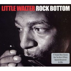 Download track Boom Boom Out Go The Lights Little Walter