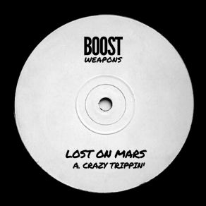 Download track Crazy Trippin' (Radio Edit) Lost On Mars