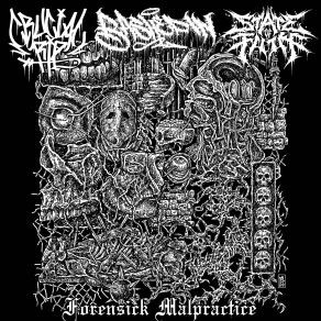 Download track Pro-Pain Bashed InState Of Filth