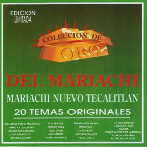 Download track Dejate Llevar Por La Musica Mariachi Nuevo Tecalitlan