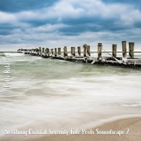 Download track Soothing Coastal Serenity Tide Pools Soundscape, Pt. 11 Steve Brassel