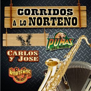 Download track Cumbia Norteñita Norteños De Ojinaga