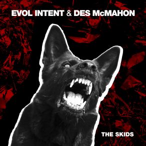 Download track The Skids Evol Intent, Des Mcmahon