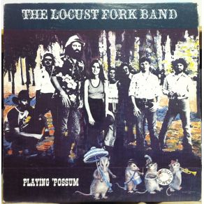 Download track Could It Happen Again The Locust Fork Band